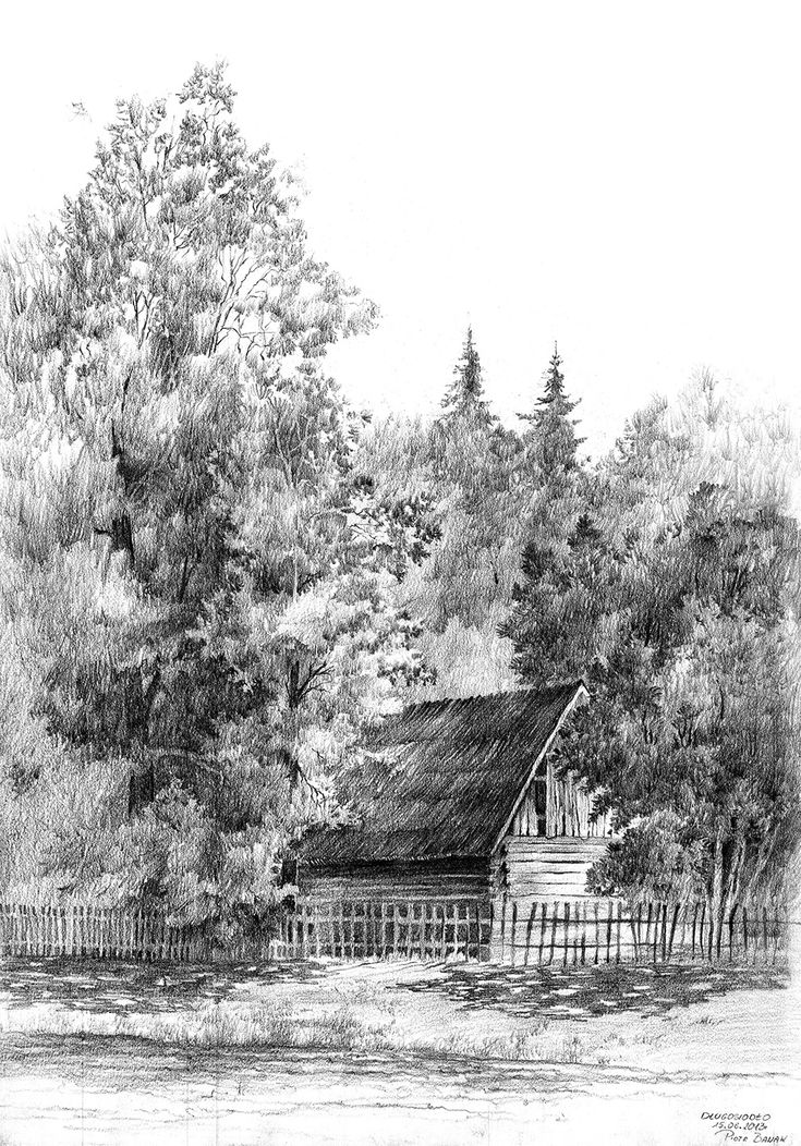 a pencil drawing of a cabin in the woods with trees around it and a fence