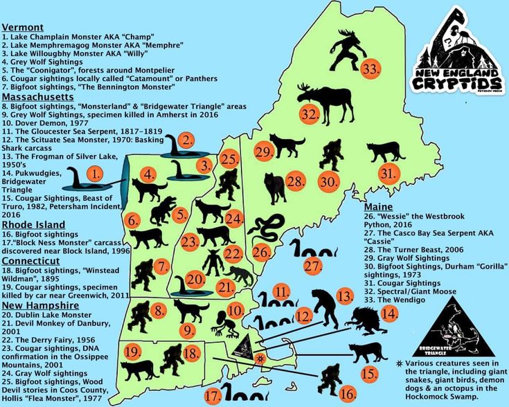 a map with many different animals and numbers in the states, including deer, horses, and other animal silhouettes