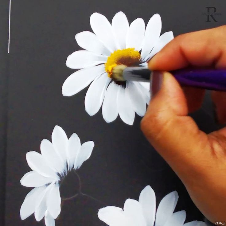 someone is drawing daisies on a piece of paper