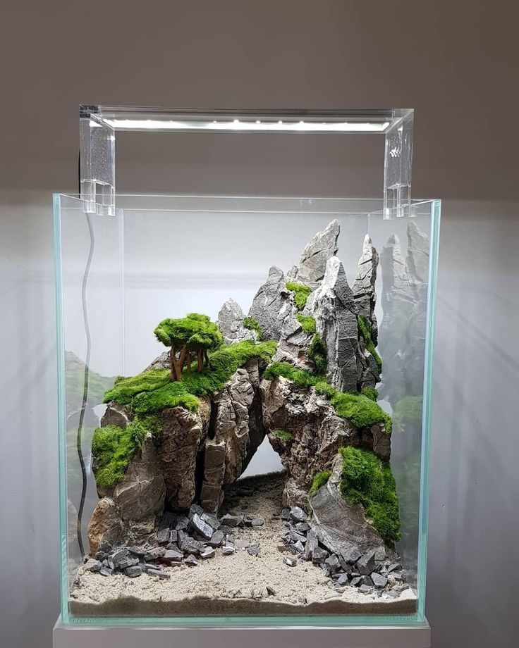 an aquarium filled with rocks and plants