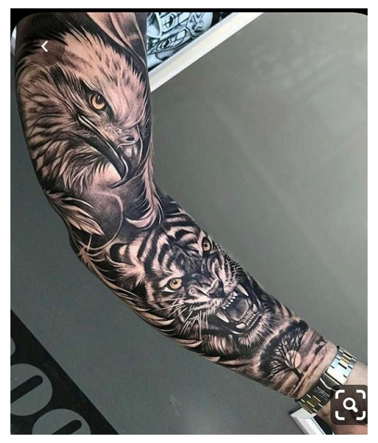 a man with a tattoo on his arm has an eagle, tiger and dog design