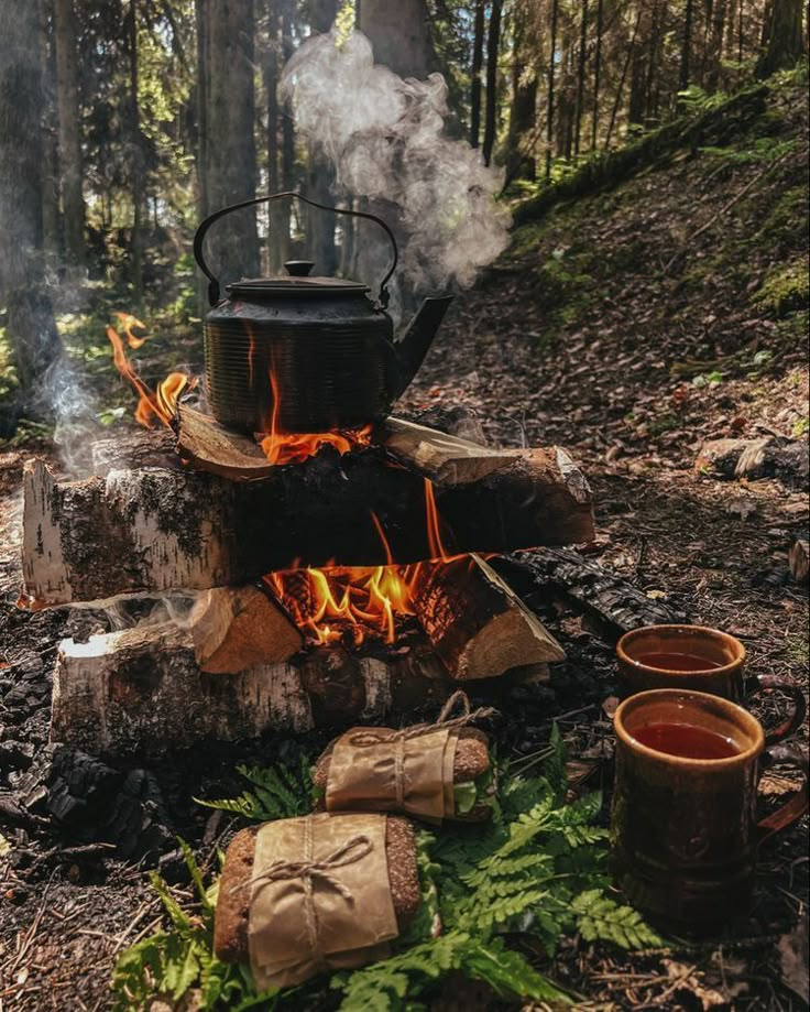 a pot on top of a fire in the woods next to some logs and pots