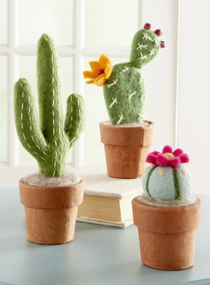 three small cactus plants sitting on top of a table