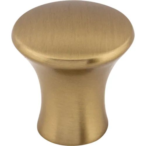 an antique brass cabinet knob on a white background