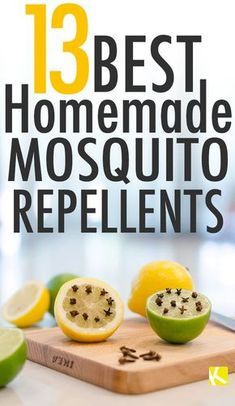 the 13 best homemade mosquito repellents