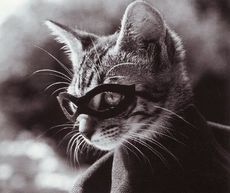 black and white photograph of a cat wearing a pair of eyeglasses on it's face