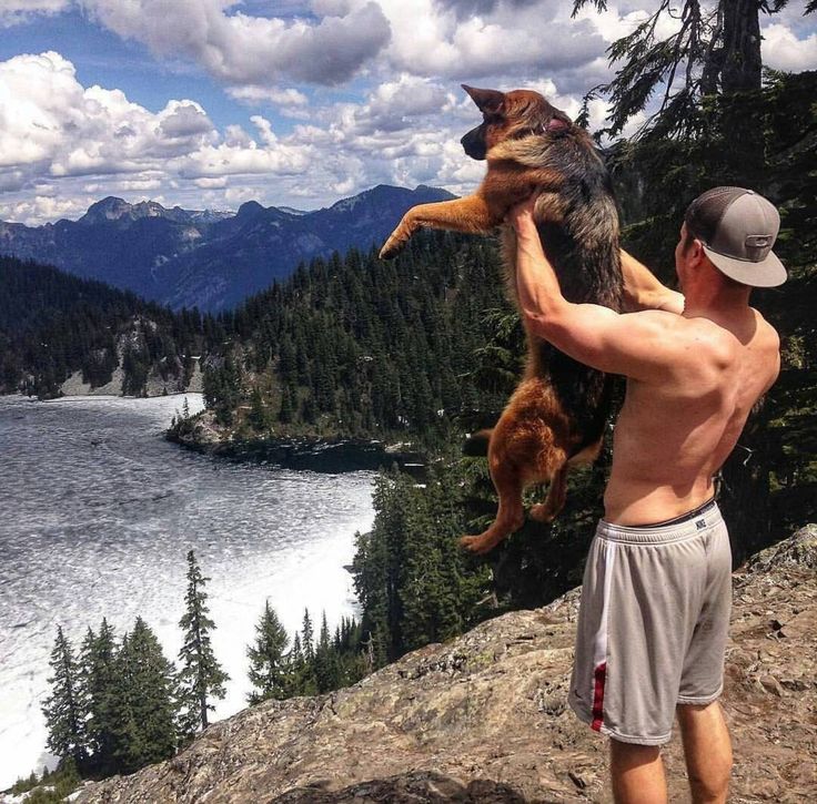 a man holding a dog on top of a mountain overlooking a lake and mountains in the background