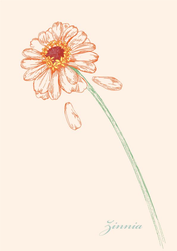 a drawing of a flower on a pink background with the word suna written below it