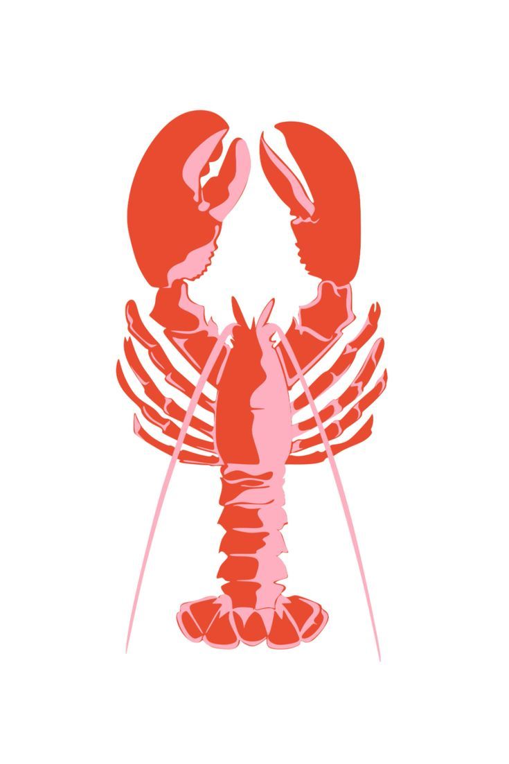 a red lobster is standing in front of a white background with the word, lobster on it