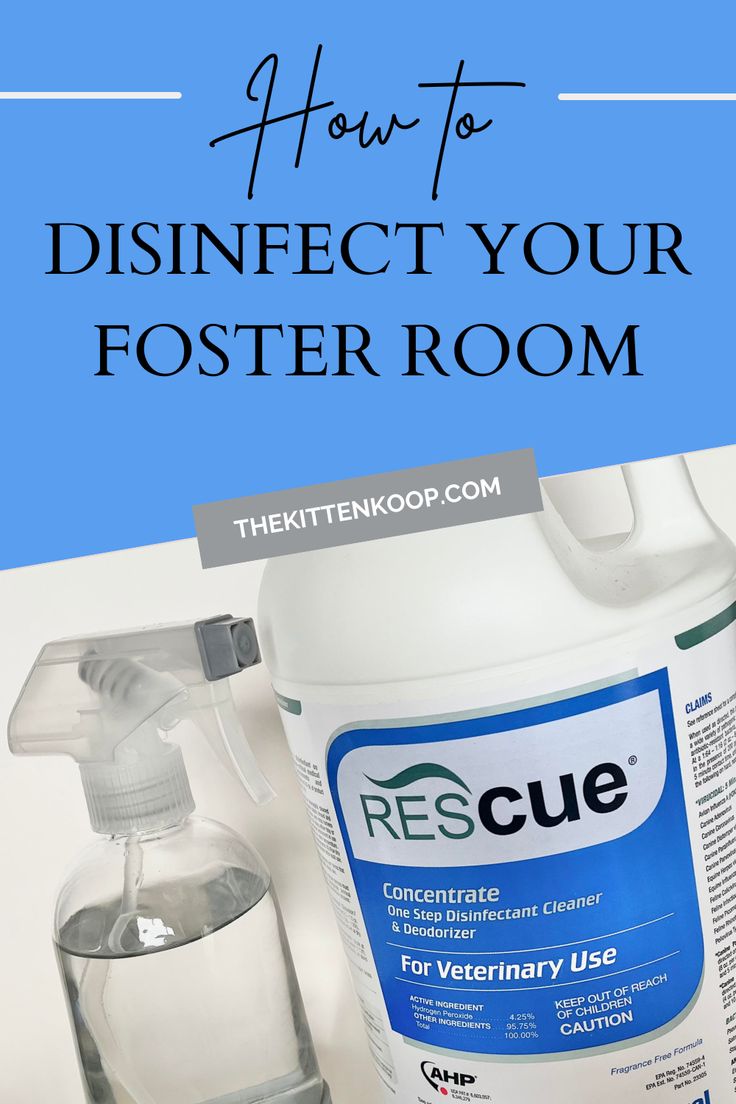 how to disinfect your fosterer room