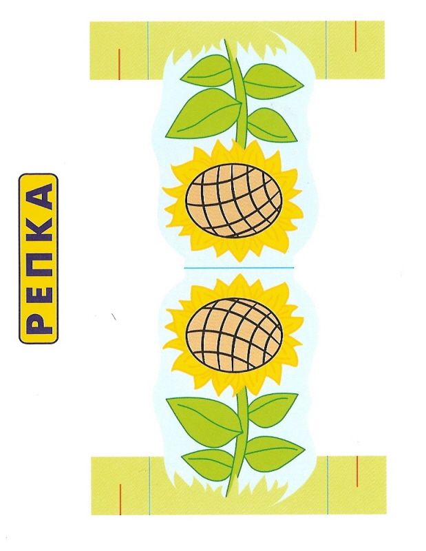 an image of a sunflower with the words peika on it's side