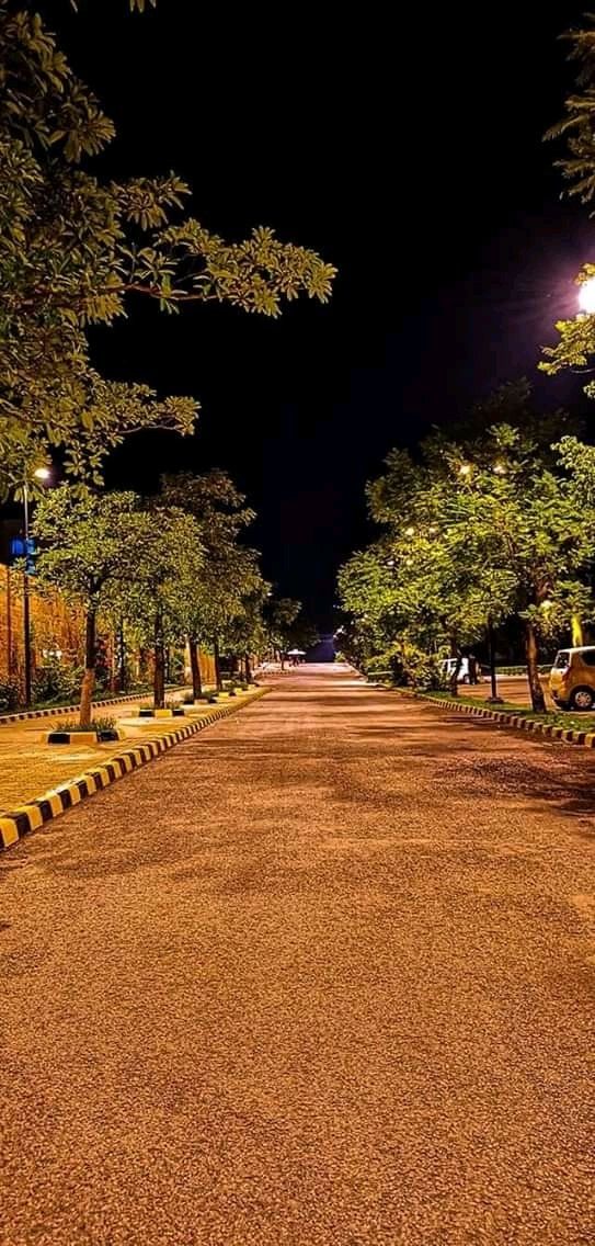 an empty street at night with cars parked on the side and trees lining the road