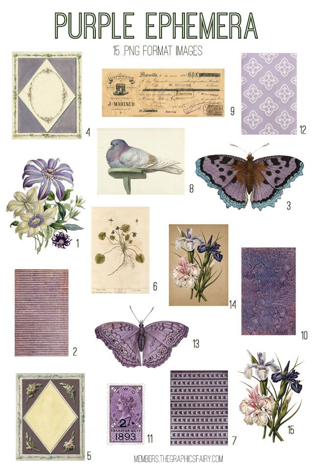 purple ephemera with flowers and butterflies on it, including the words purple ephemera