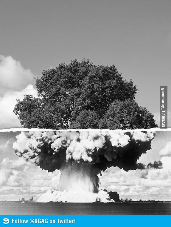 an image of a tree that is in the middle of some clouds and water with it's roots spewing out