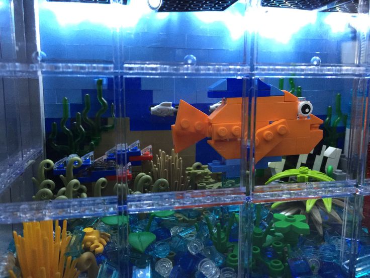 an aquarium filled with lots of different types of toys