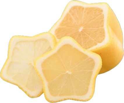 three pieces of lemon sitting next to each other