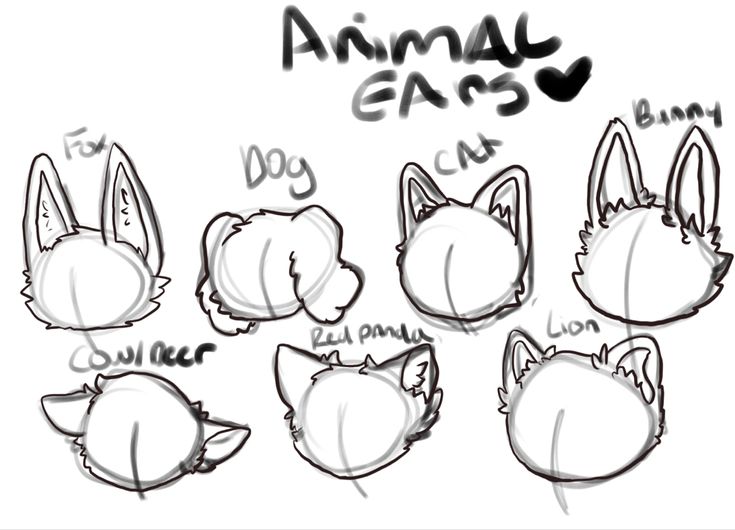 Animal ear refrences multiple animals Animal Poses, Art Bases, How To Draw Ears, Drawing Help, Character Making, Cat Drawings, Action Pose, Body Base Drawing, Creative Drawing Prompts