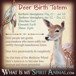 deer birth totem poster with information about what it is and why it's important