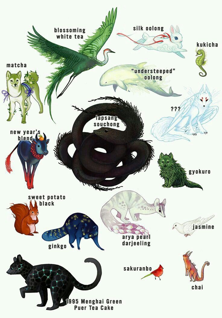 an illustrated poster with different types of animals