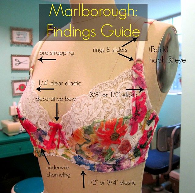 an image of a bra that is on display