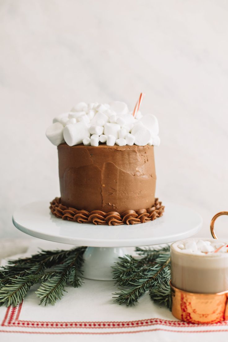 a chocolate cake with marshmallows on top