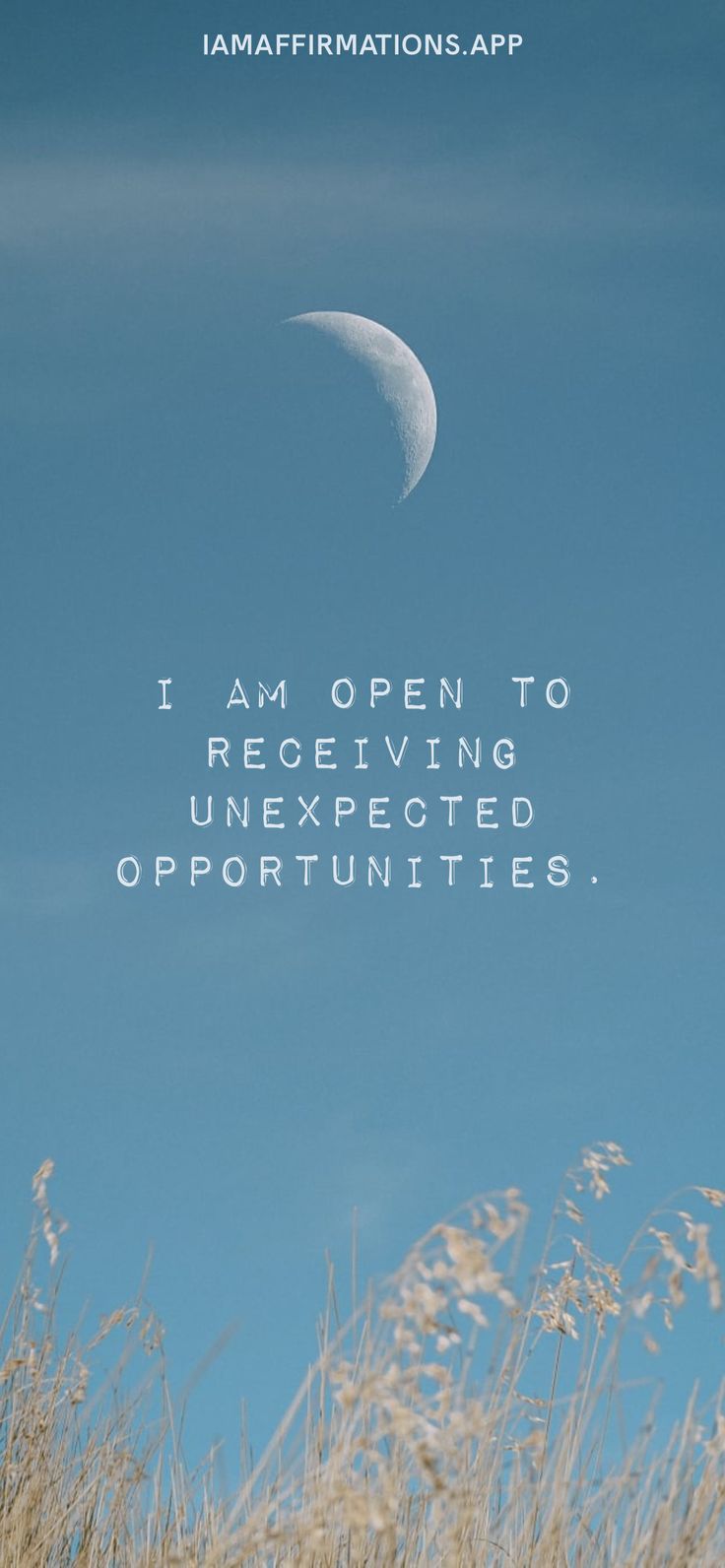 the moon is in the sky above some tall grass with an inscription on it that reads i am open to receiving unexpected opportunity