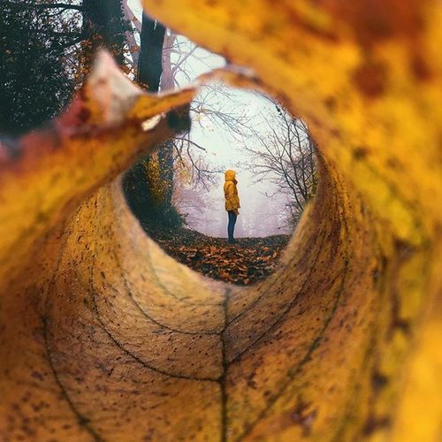 an instagram photo taken from the bottom of a leaf with someone standing in it