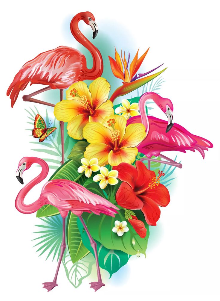 a group of flamingos and tropical flowers on a white background