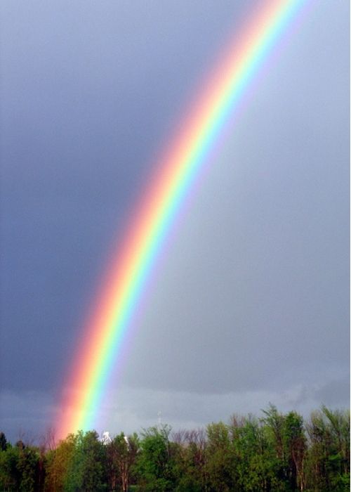 two rainbows in the sky over some trees