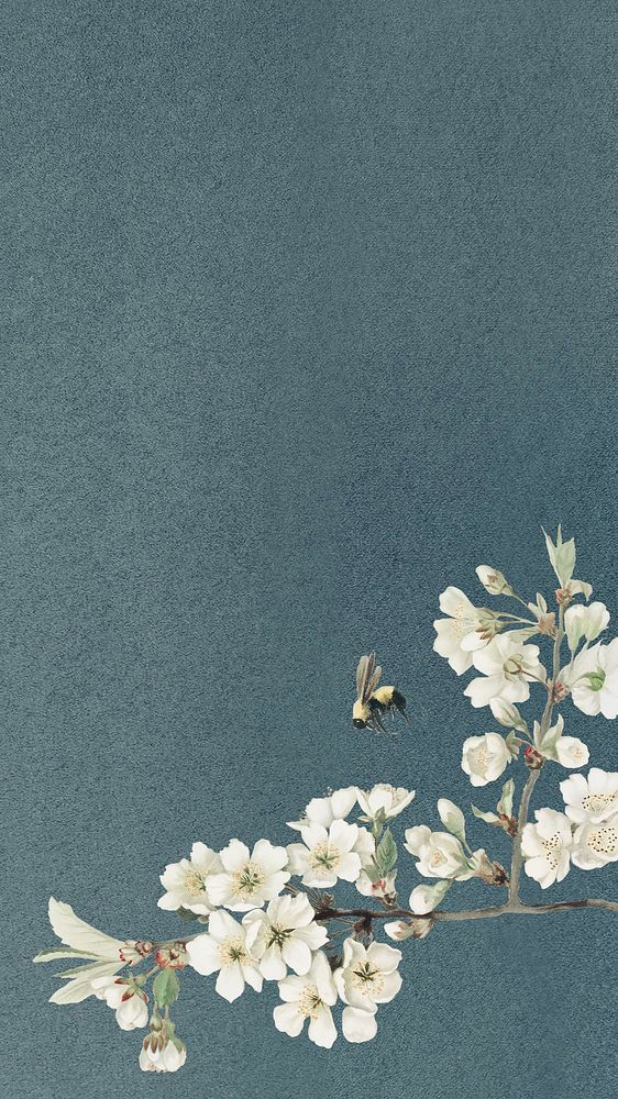 a branch with white flowers and a small bird on it's tip, in front of a dark blue background