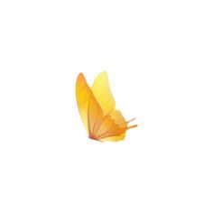 a yellow butterfly flying through the air