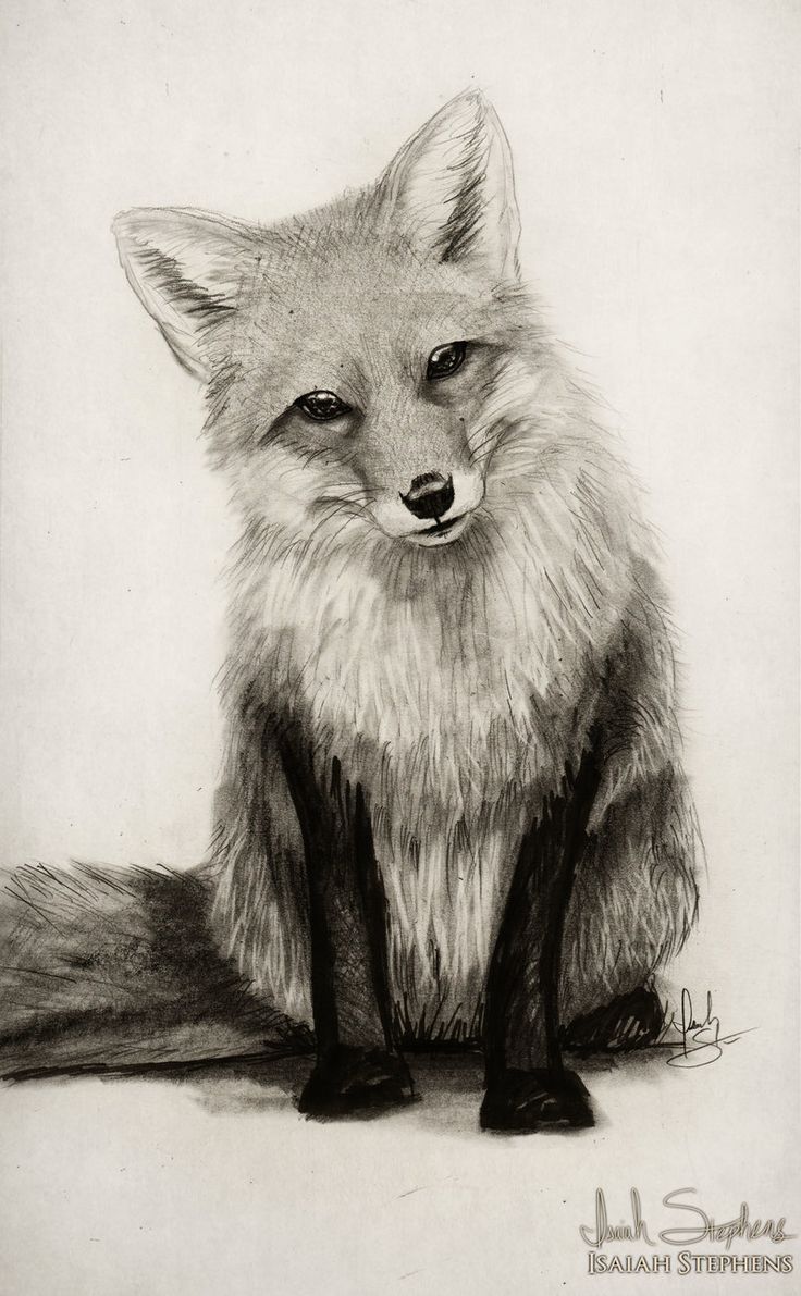 a black and white drawing of a fox sitting on the ground with its eyes closed