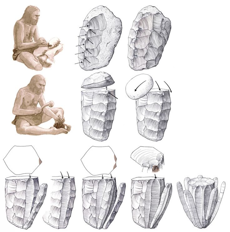 an image of some sort of human body in different stages of development, including the head and neck