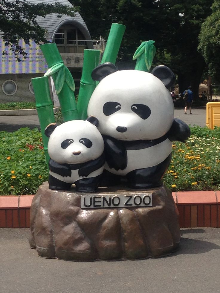 two panda bears sitting on top of a rock