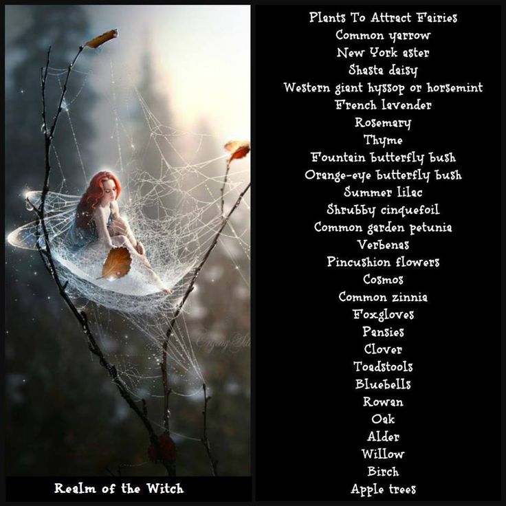 an image of a spider web with the names of its main characters and their meanings