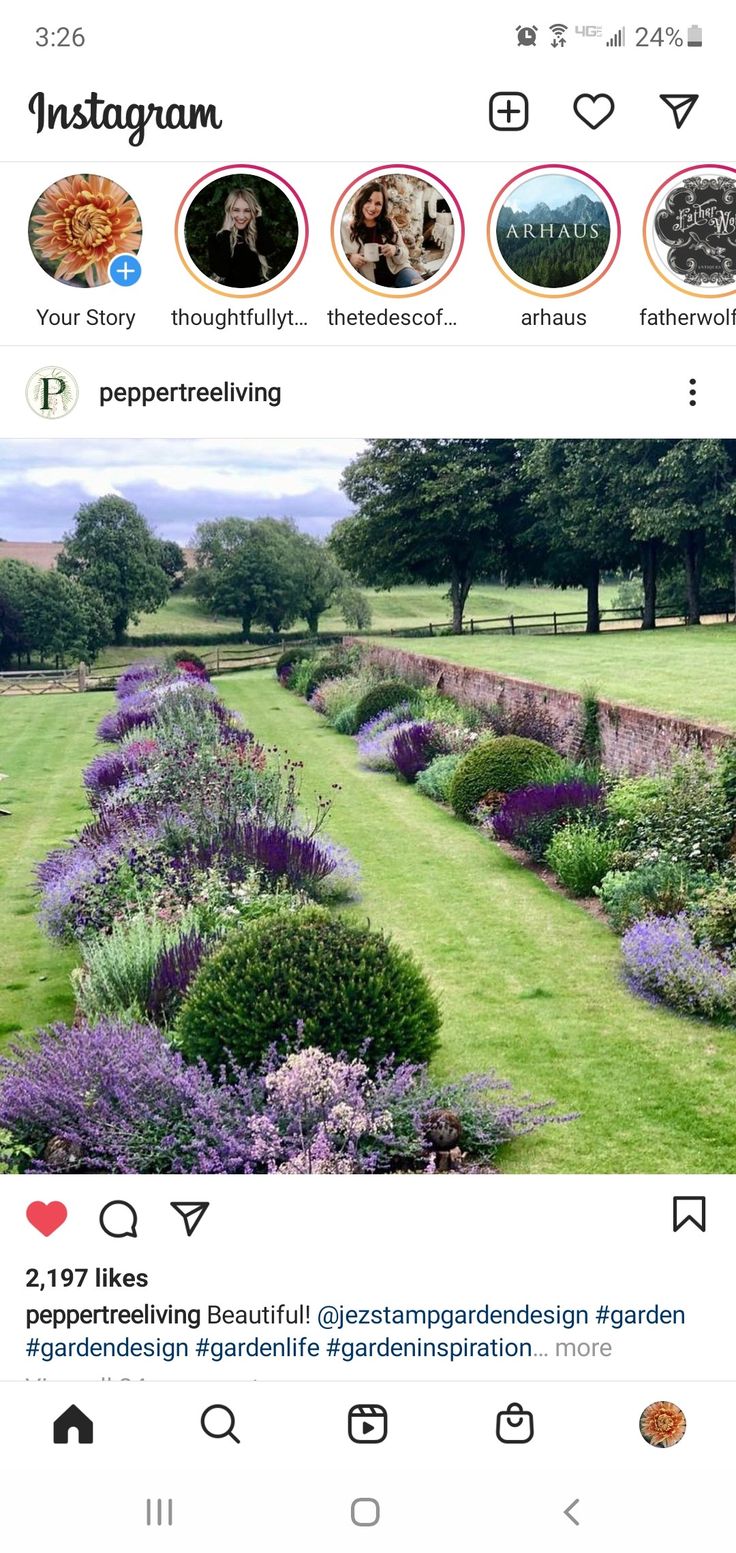 the instagram page on instagram com shows an image of a garden with purple flowers