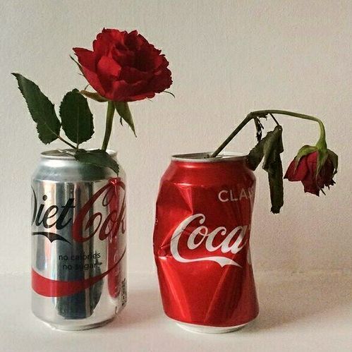 two coca - cola cans with roses in them sitting next to each other