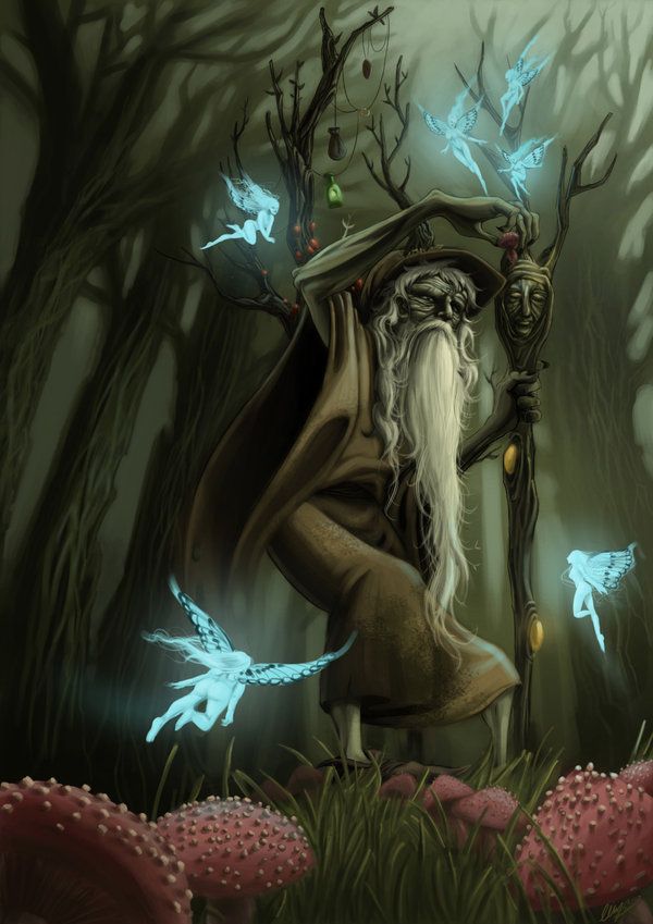 an image of a wizard in the woods