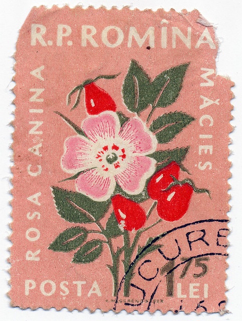 an old postage stamp with flowers on it