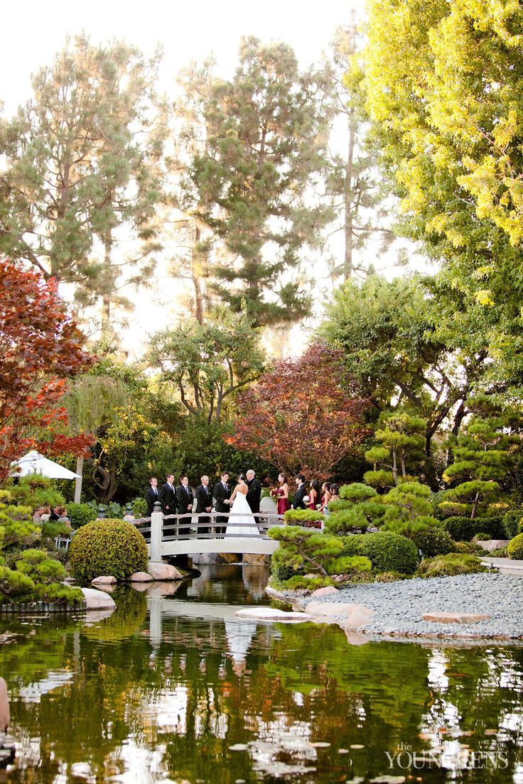 a bride and groom standing on a bridge over a pond in the middle of a garden