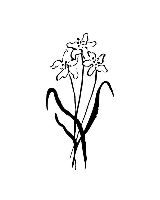 a black and white drawing of some flowers