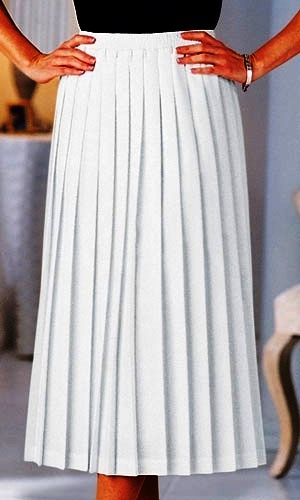 White knife pleated skirt White Skirt Ideas, Knife Pleated Dress, Pleats Fashion, Knife Pleated Skirt, Pleats Dress, Pleaded Skirt, Skirt Ideas, Knife Pleat, Knife Pleats