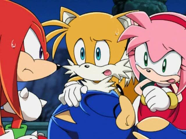 sonic the hedgehog and tails talking to each other in front of an evil cat