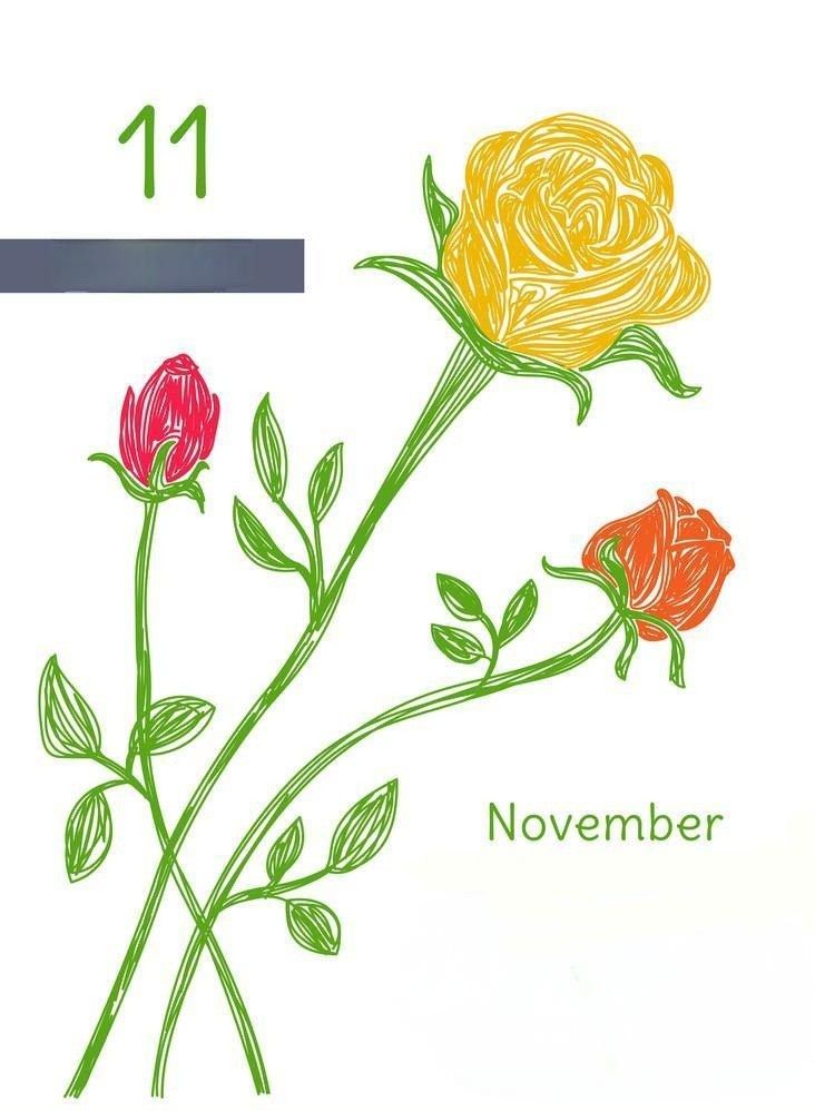 a drawing of two flowers on a white background with the words november 11 written below