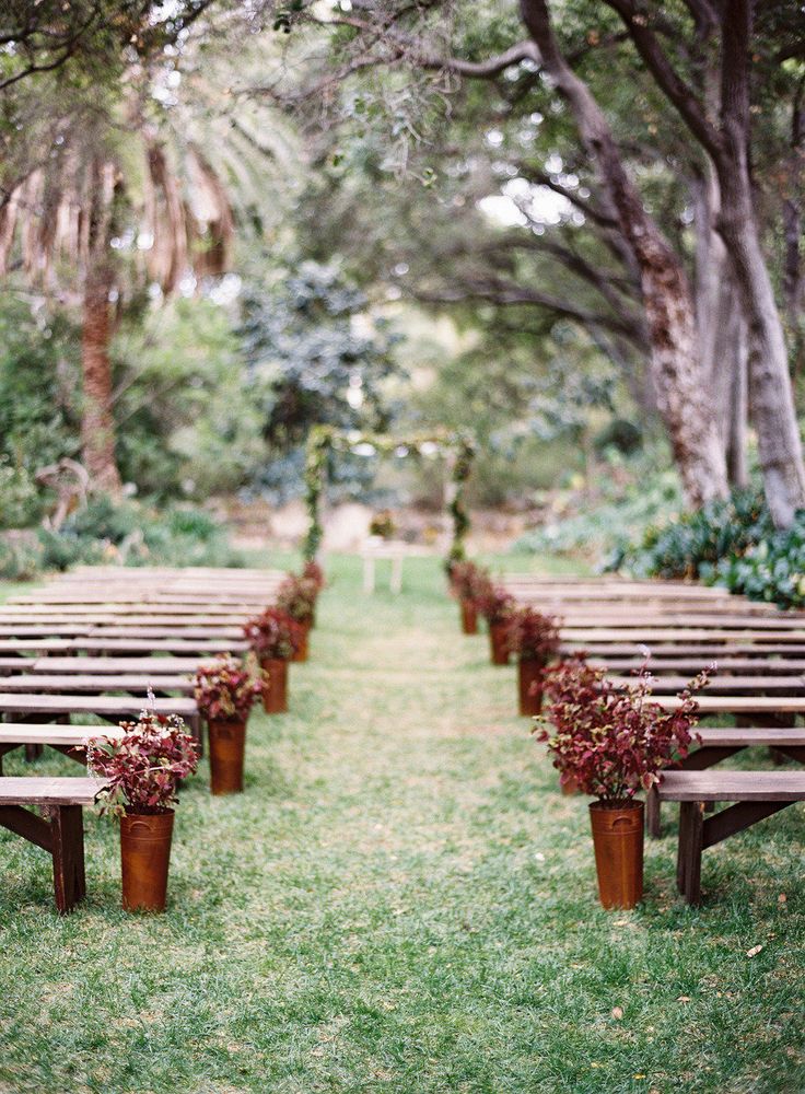 rows of wooden benches lined up in the grass with flower pots on each row and greenery behind them