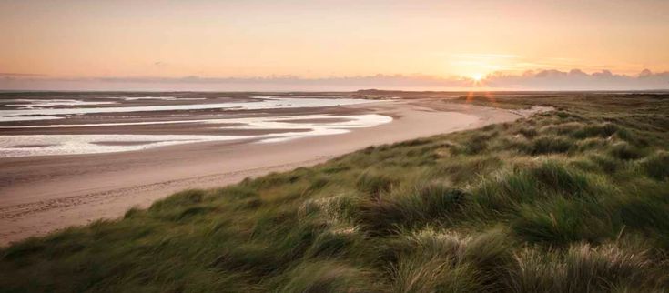 the sun is setting at the beach with grass growing on the shore and sand in the foreground