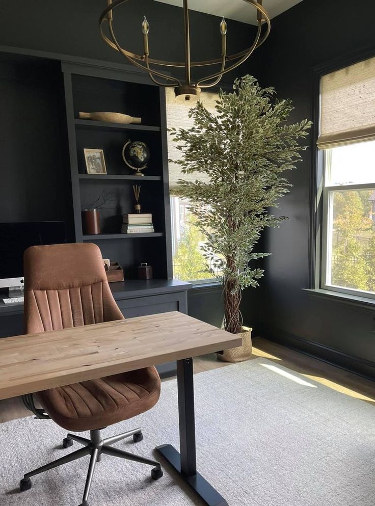 an office with a desk, chair and plant in the corner on carpeted floor