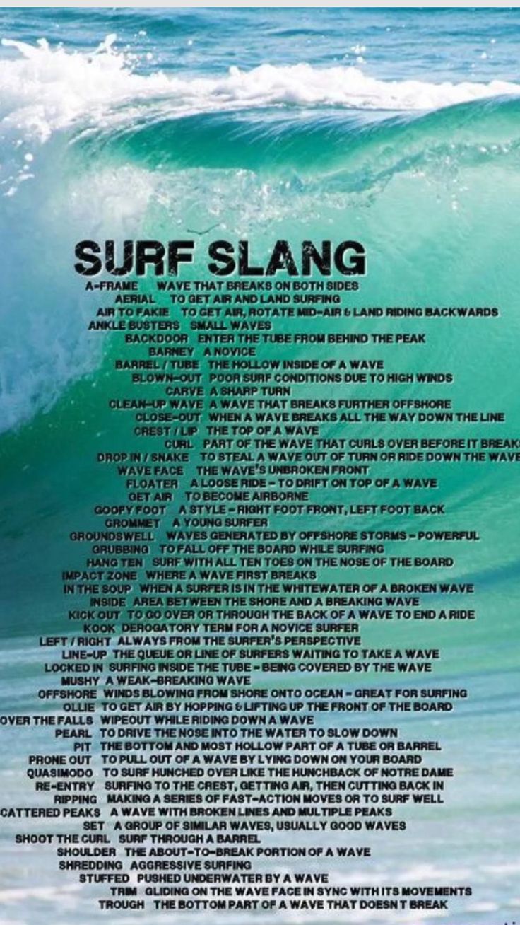 a poster with the words surf slang on it