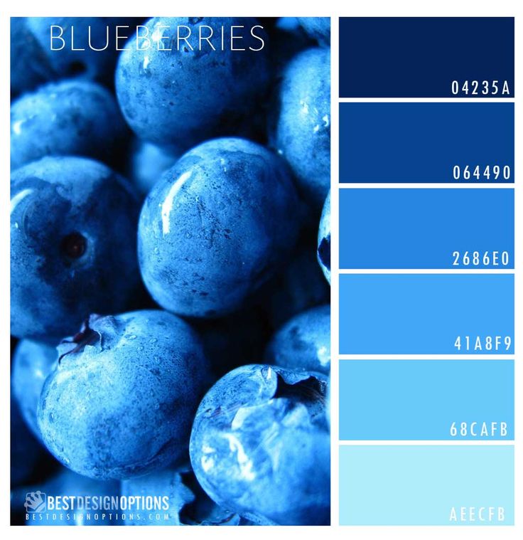 blueberries are shown in the bottom half of this color scheme, and on top of each other