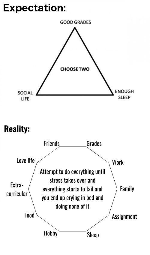 a diagram with words describing the different types of people